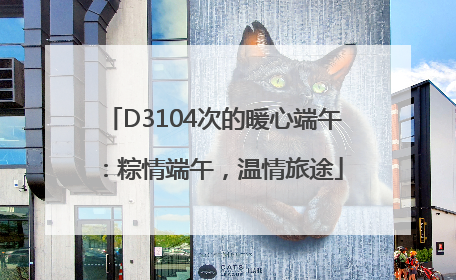 D3104次的暖心端午：粽情端午，温情旅途